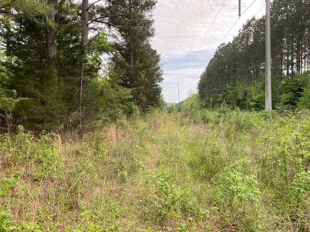 351 County Road Sweetwater, TN 37874 - Photo 10 of 14