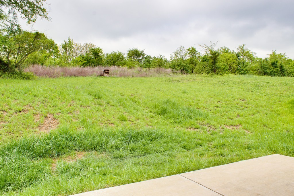 950 Hunters Lane Springfield, TN 37172 - Photo 14 of 15