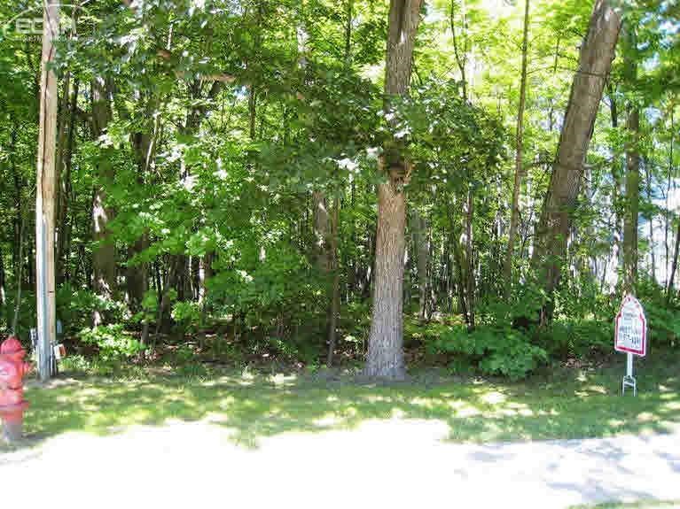 0 Thompson Howell, MI 48843 - Photo 1 of 12