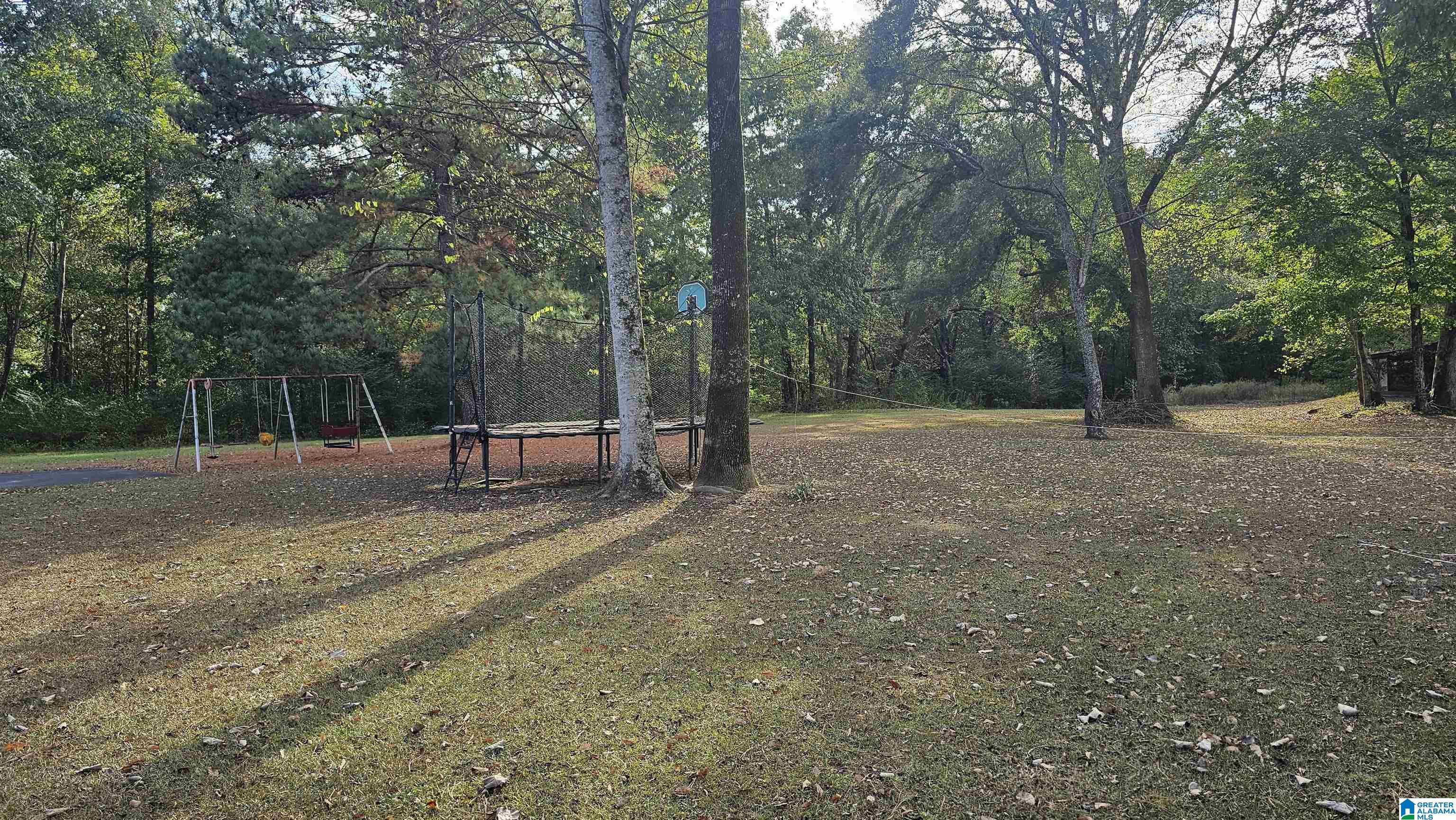 6799 East Lightsey Road Centreville, AL 35042 - Photo 3 of 8