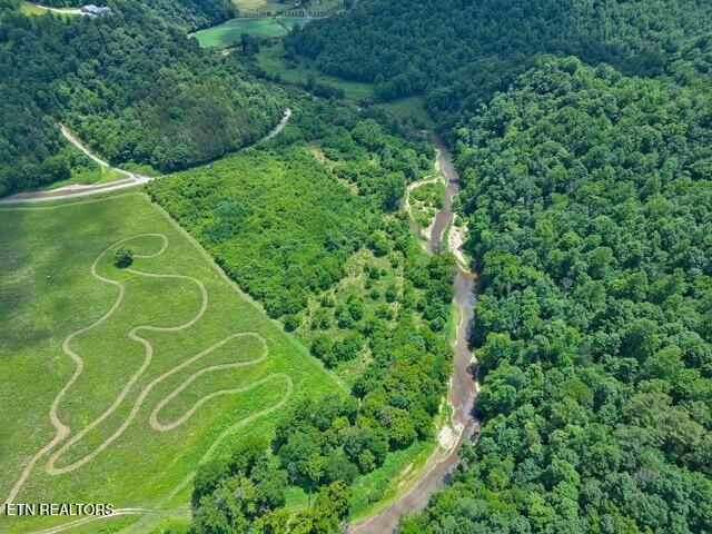 Lot 2 Blackburn Fork Road Cookeville, TN 38501 - Photo 4 of 7 MAX_1493131736 Medium