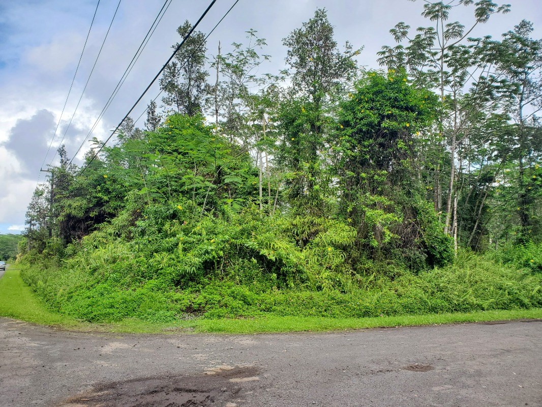 681 Hilo Road Pahoa, HI 96778 - Photo 1 of 5 Gallery Image 1