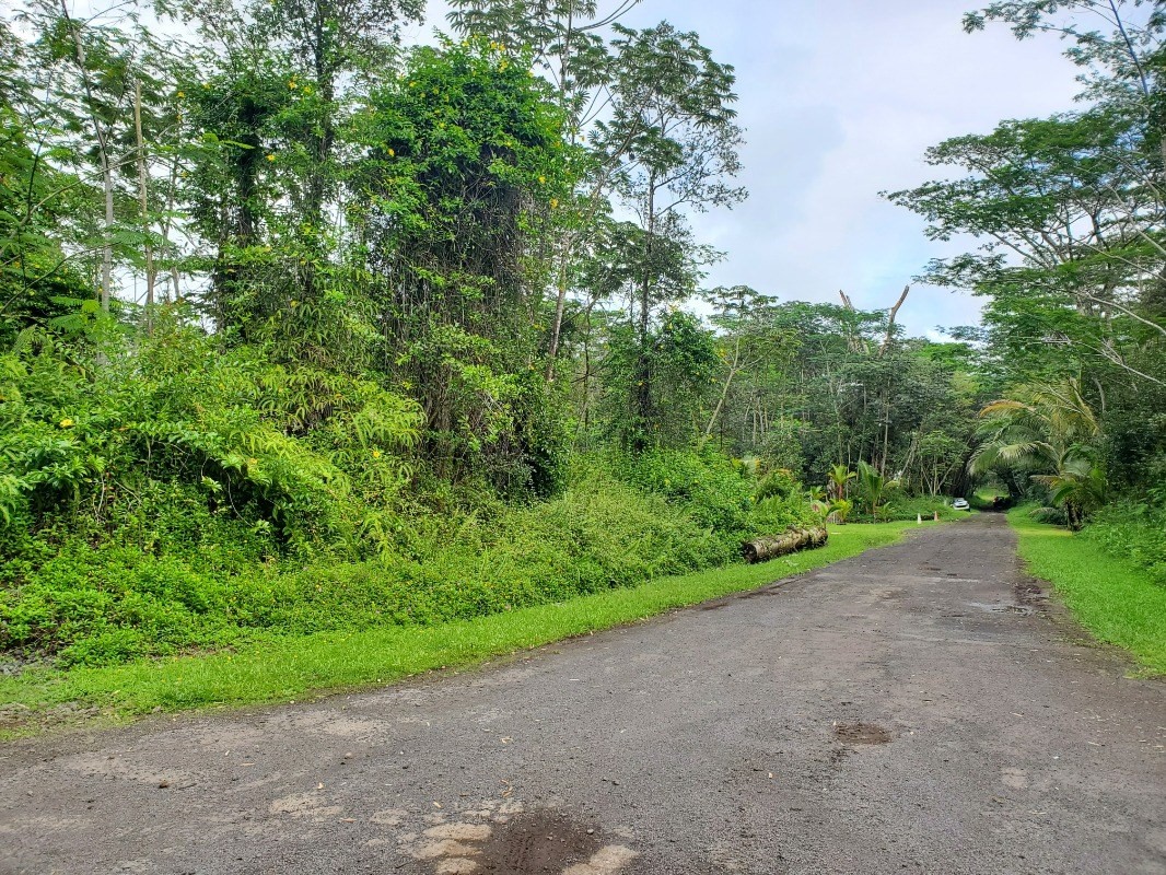 681 Hilo Road Pahoa, HI 96778 - Photo 3 of 5 Gallery Image 3