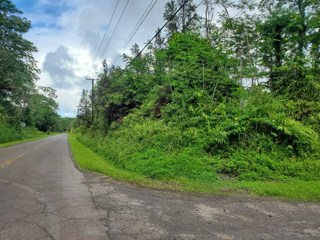 681 Hilo Road Pahoa, HI 96778 - Photo 4 of 5 Gallery Image 4