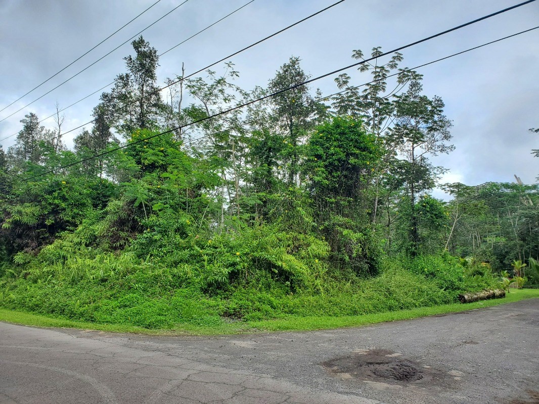 681 Hilo Road Pahoa, HI 96778 - Photo 5 of 5 Gallery Image 5