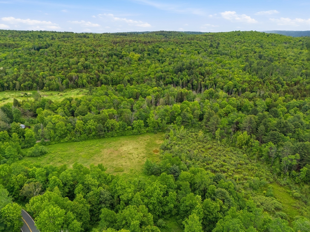 0 Capen/ Clark Road Worthington, MA 01098 - Photo 11 of 13