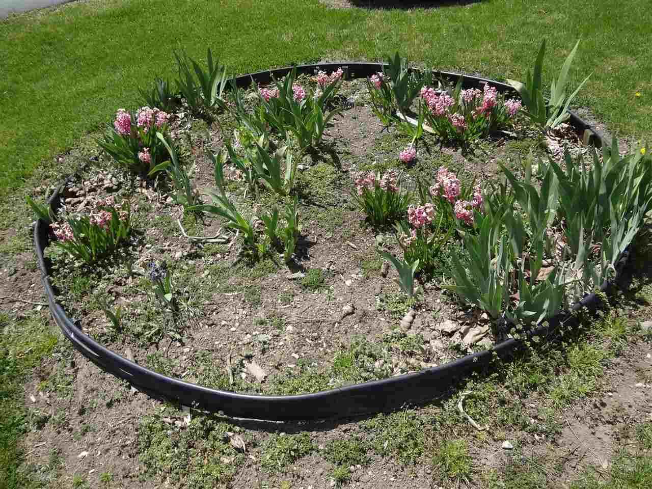 3823 Highway 25 Rochester, IN 46975 - Photo 14 of 16