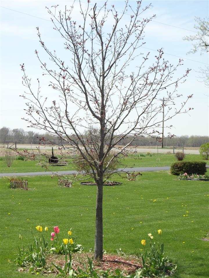 3823 Highway 25 Rochester, IN 46975 - Photo 3 of 16