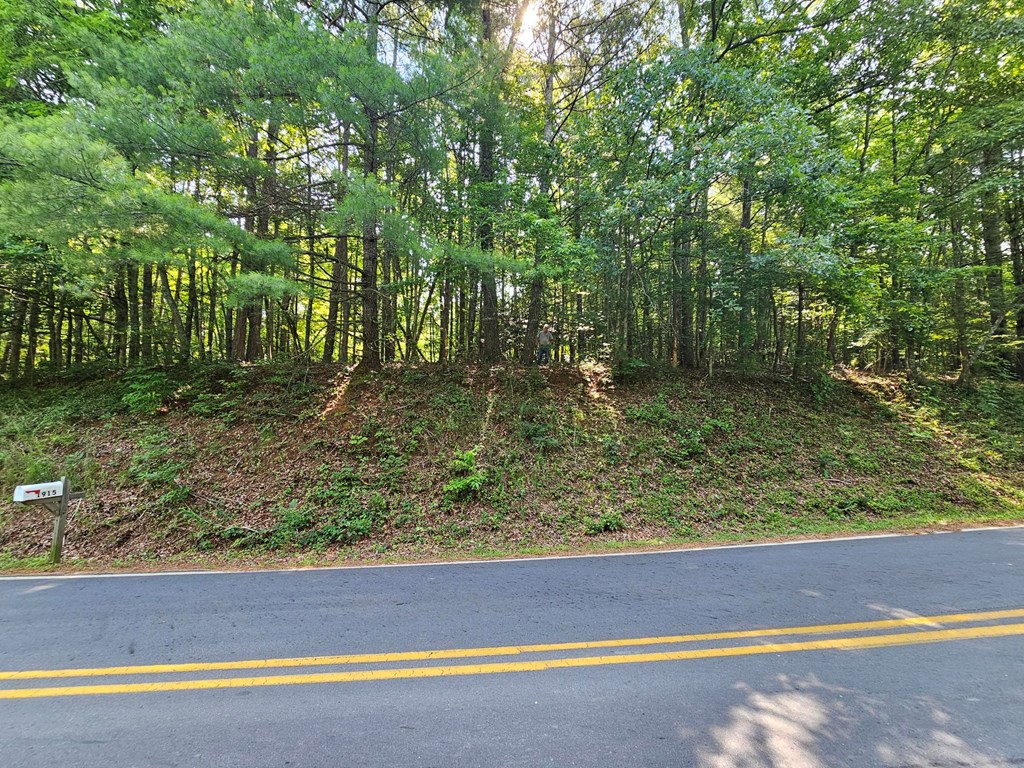 31-acres Upper Bear Paw Road Murphy, NC 28906 - Photo 18 of 26
