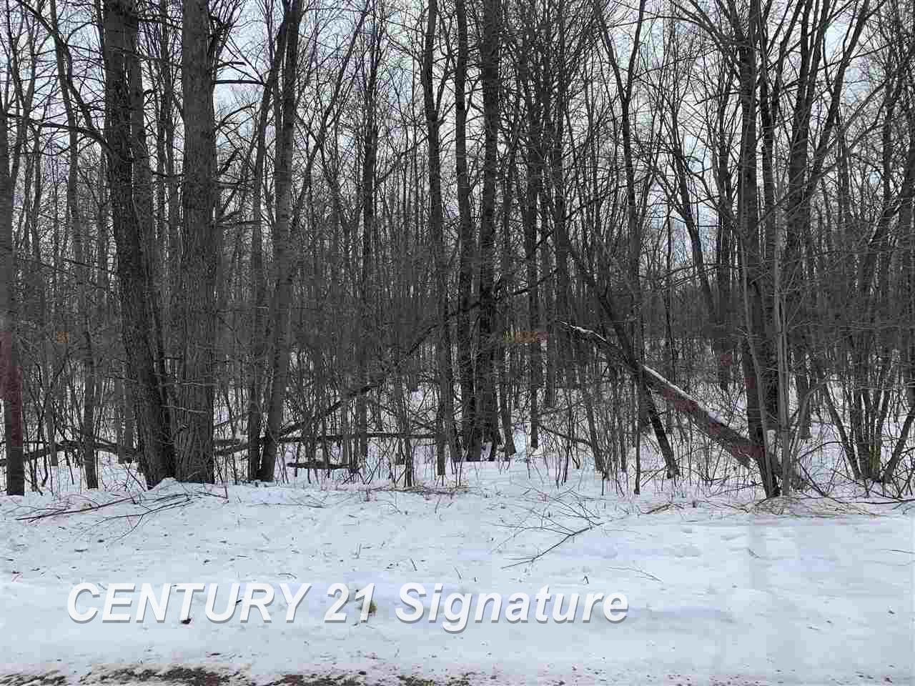 11 North Mile Road, Unit W Bentley, MI 48613 - Photo 6 of 6