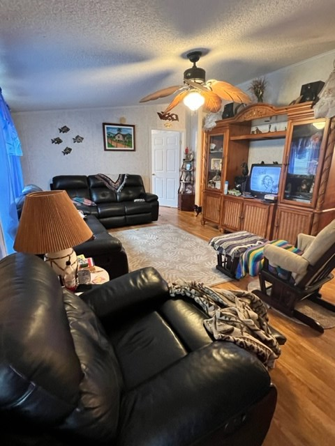 1847 Lighthouse Road Carrabelle, FL 32322 - Photo 13 of 66 Gallery Image 13