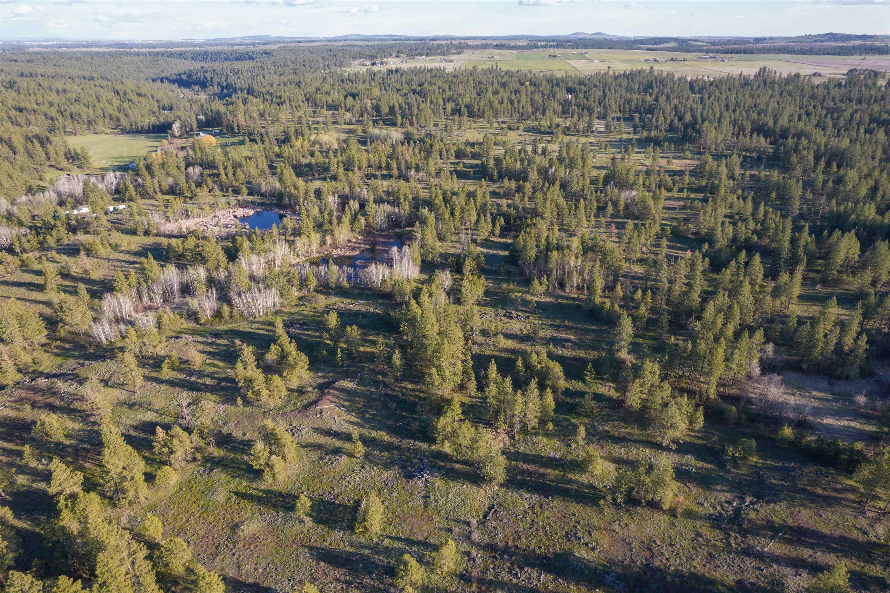 11225 North Brooks Road Spokane, WA 99224 - Photo 31 of 36