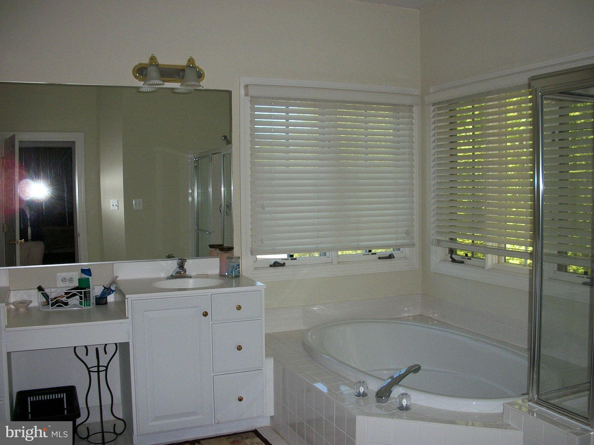 18706 Olney Mill Road Olney, MD 20832 - Photo 22 of 30 Bath (Master)