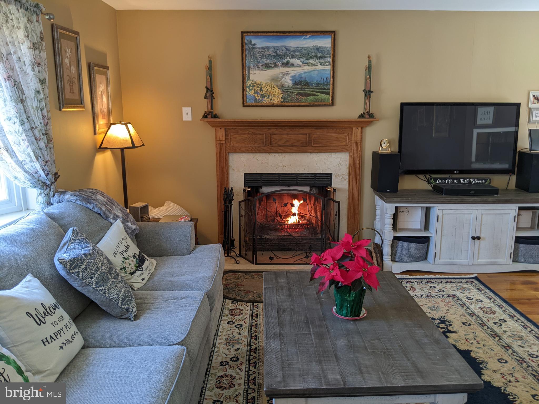 615 Jones Road Williamstown, NJ 08094 - Photo 2 of 29 Living room with Fireplace