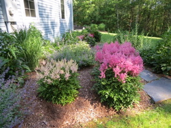 124 Turkey Hill Road Northampton, MA 01062 - Photo 27 of 30 a pink and white flowers