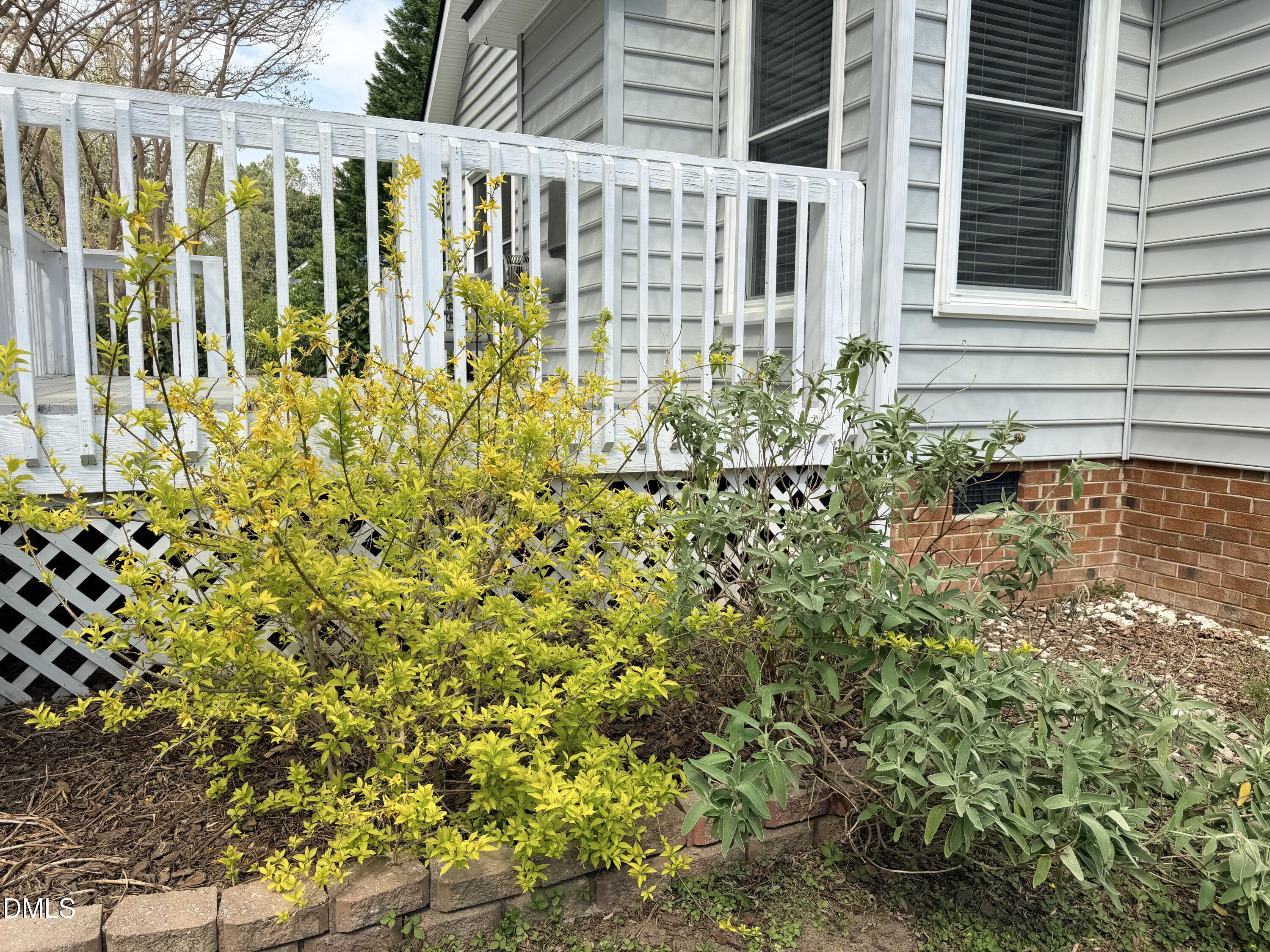 1012 Catsby Circle Raleigh, NC 27603 - Photo 34 of 40 spring is blooming