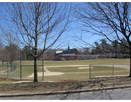 53 Pierrepont Road Newton, MA 02462 - Photo 13 of 13 a view of a yard with a large tree
