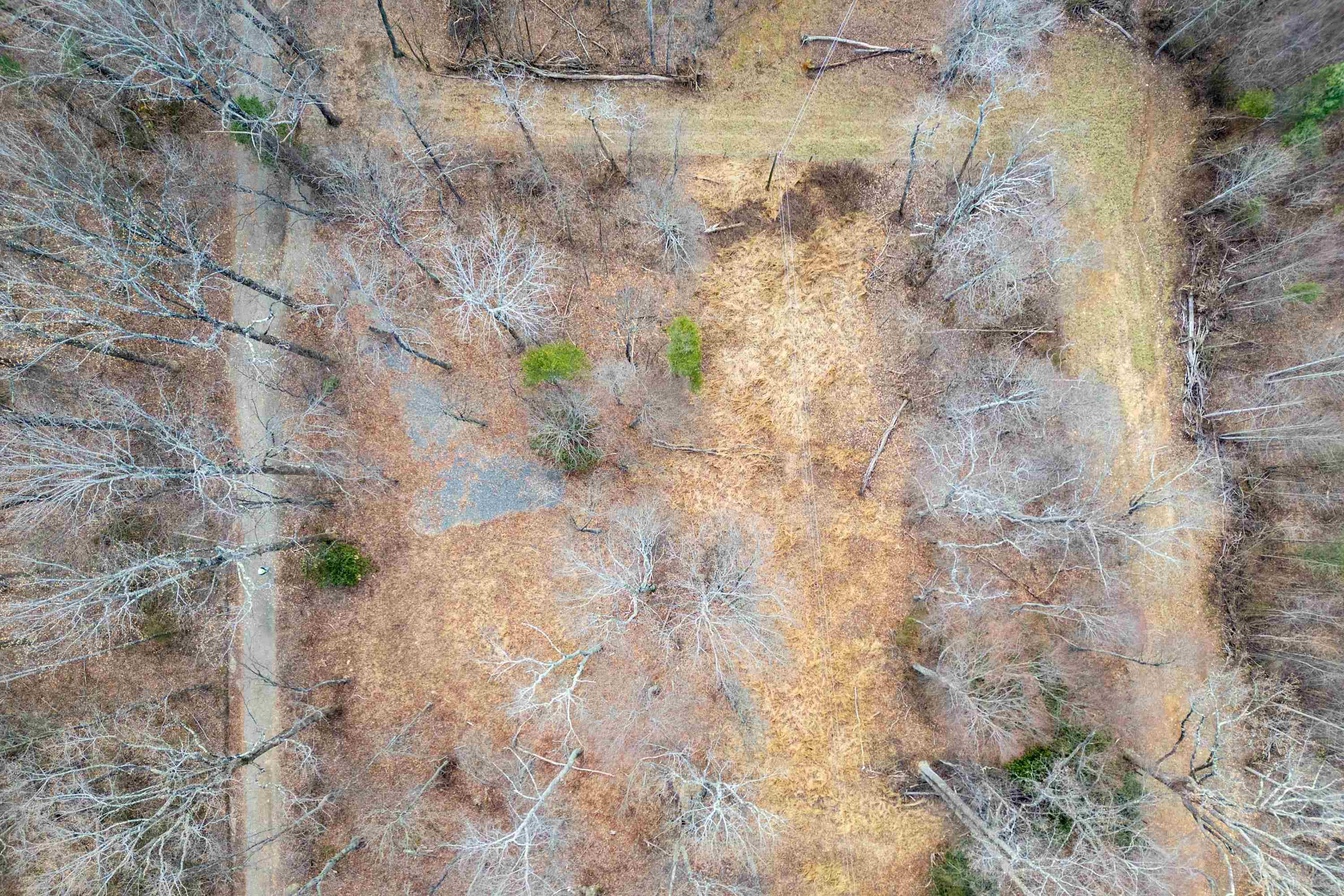 608 Blue Ridge Pkwy Road Fancy Gap, VA 24328 - Photo 10 of 49 Gallery Image 10