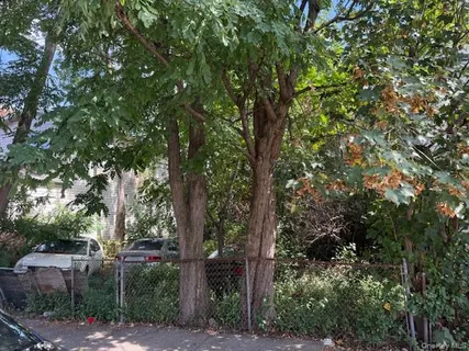 a view of a tree in a backyard of a house