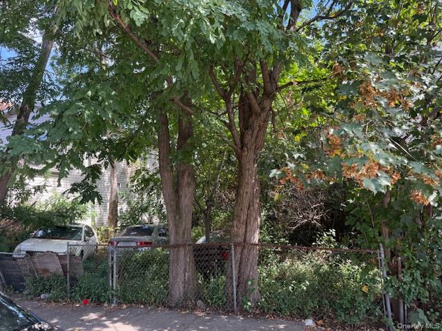 a view of a tree in a backyard of a house