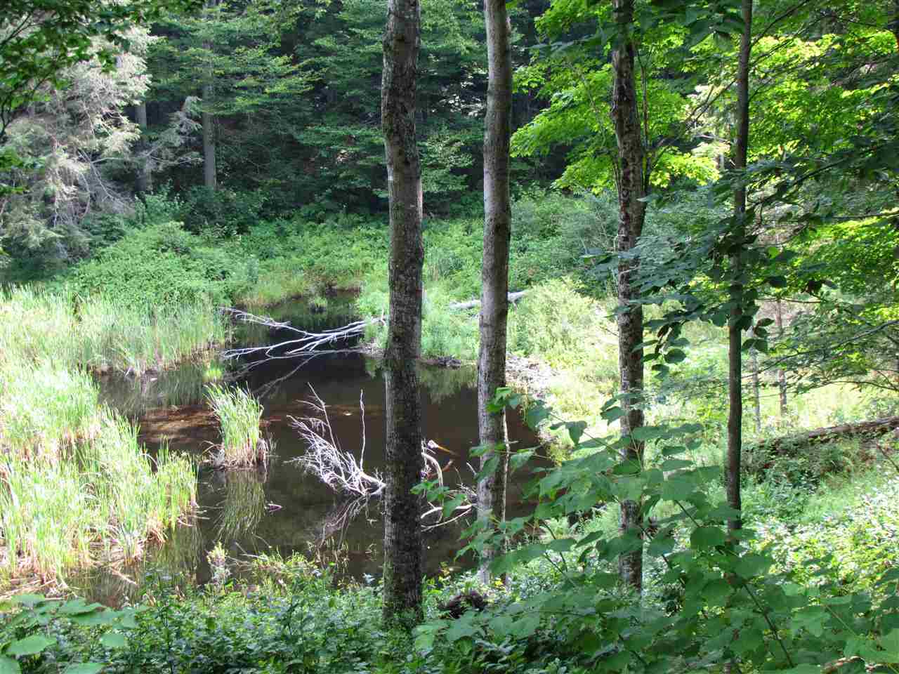 German Flats Road Warren, VT 05674 - Photo 7 of 11 Gallery Image 7