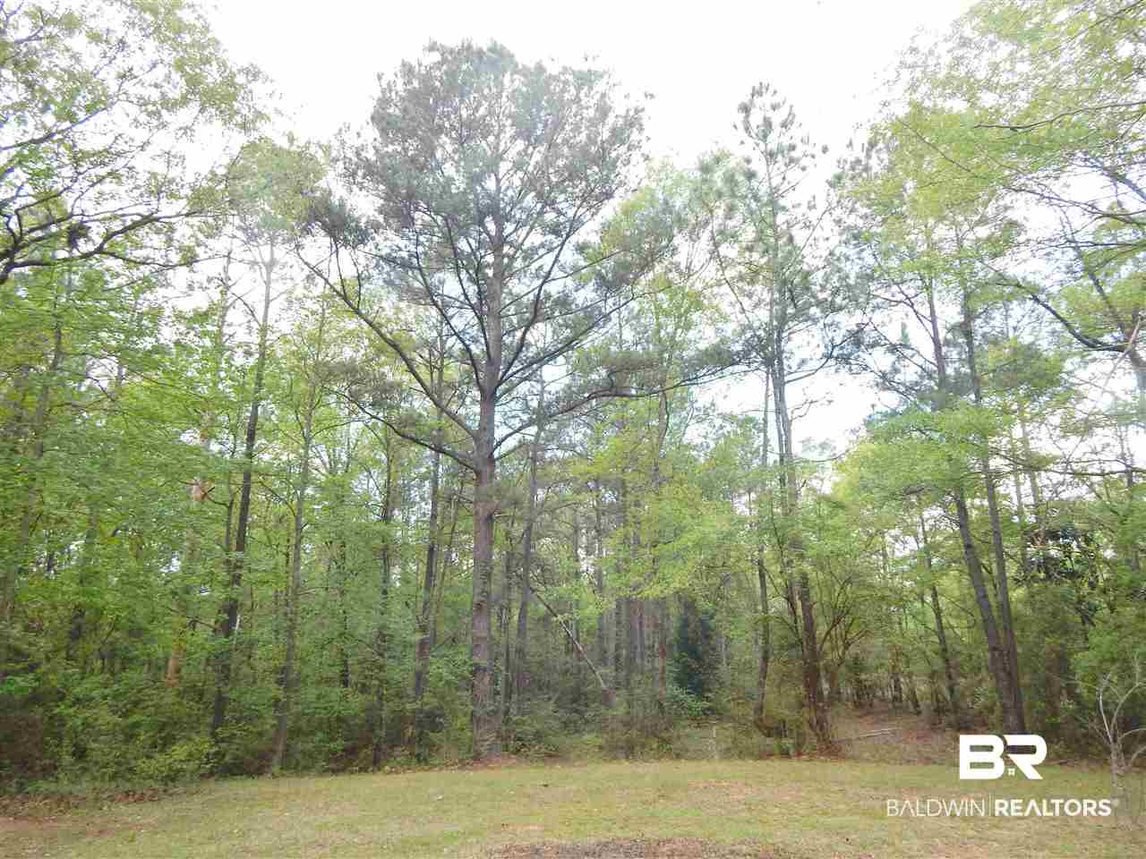 16513 Celeste Road Citronelle, AL 36522 - Photo 31 of 31