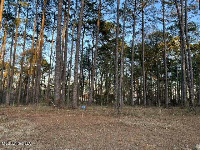 Lot 23 Neptune Shore Canton, MS 39046 - Photo 15 of 20 IMG_1808