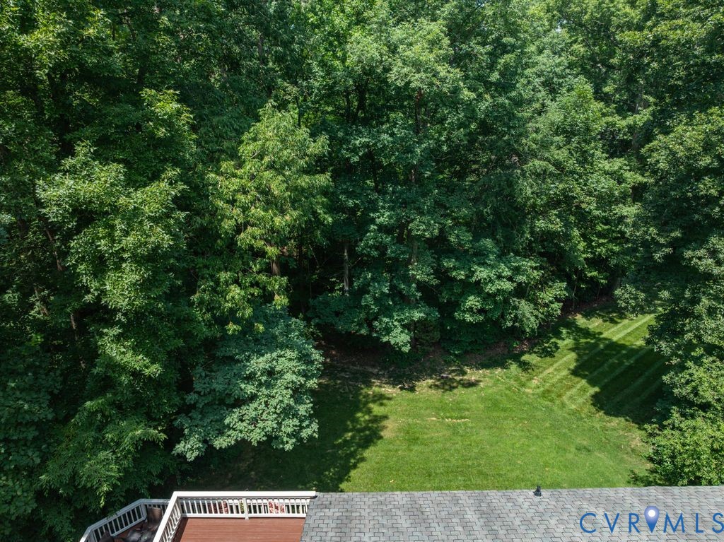 14010 Harbour Pointe Road Midlothian, VA 23112 - Photo 66 of 84