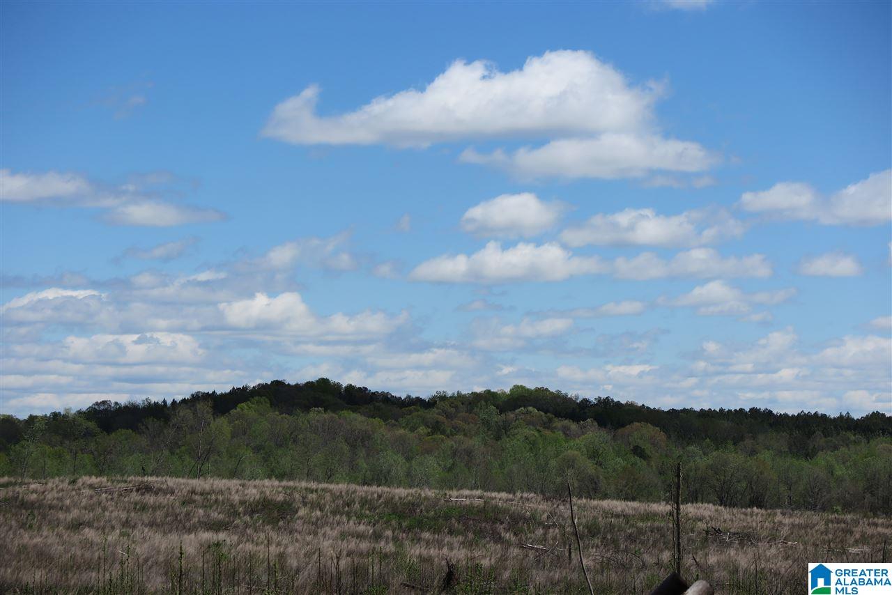 178 County Road, Unit 212 Five Points, AL 36855 - Photo 2 of 7