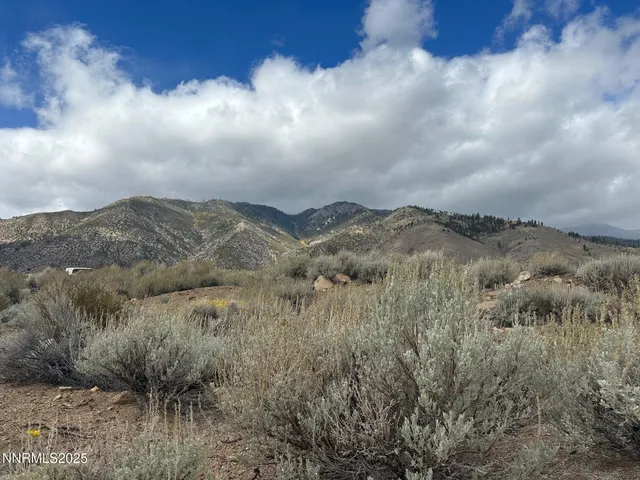a view of a dry yard with wooden fence