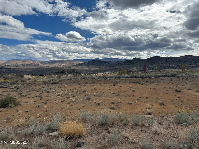 a view of a bunch of trees in a field