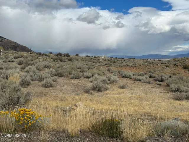 a view of a dry yard with wooden fence