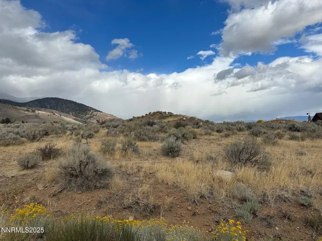 a view of an ocean beach