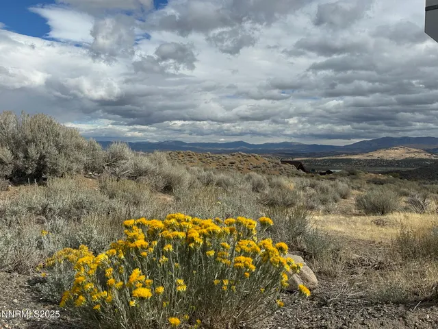 a view of a yard in a yard