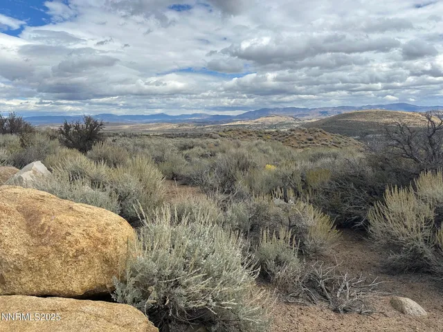 a view of a city with lush green forest