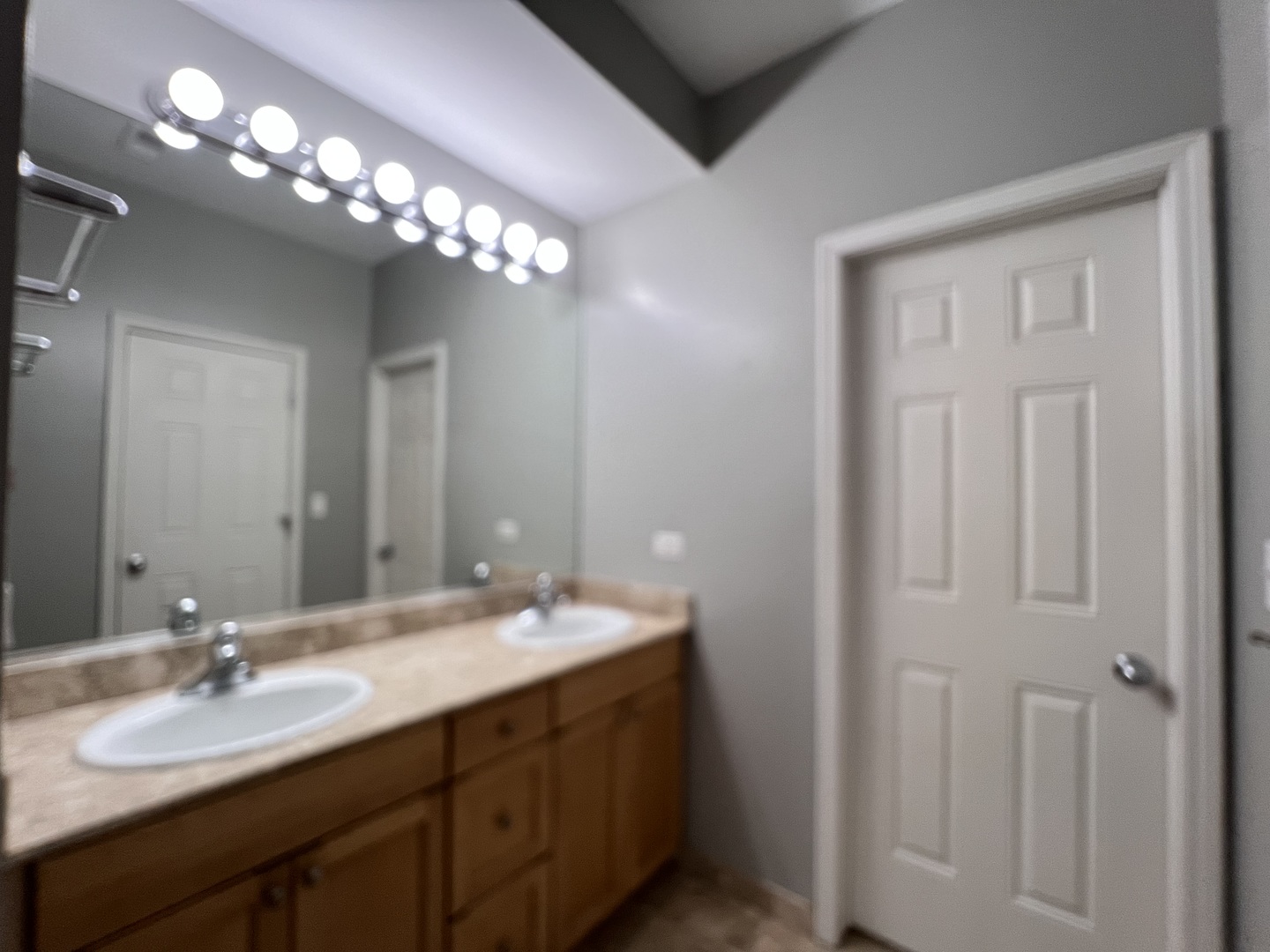 1911 South State Street, Unit 3 Chicago, IL 60616 - Photo 13 of 26 a bathroom with a double vanity sink and a mirror