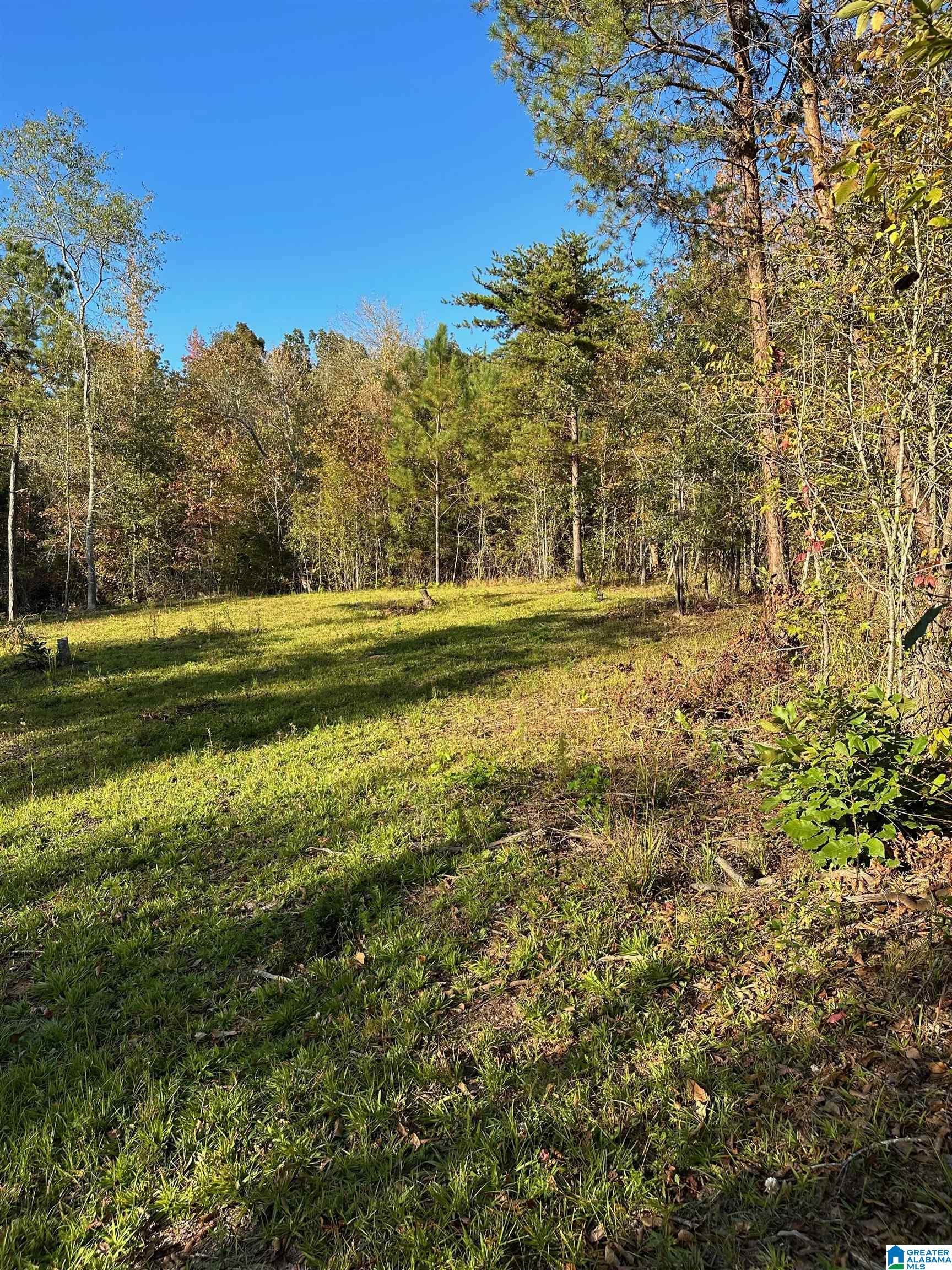 0 Reed Creek Drive Shelby, AL 35143 - Photo 12 of 15