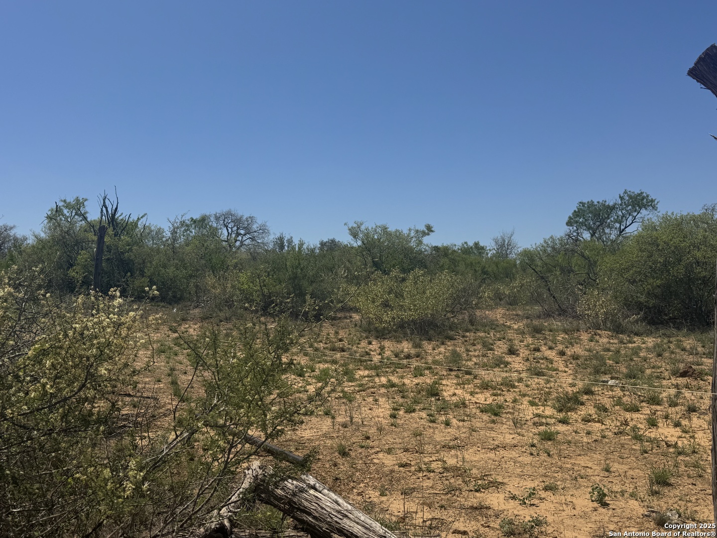 0 Kyote Bigfoot, TX 78005 - Photo 3 of 5