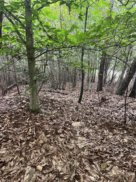 0 South Stokes School Road Walnut Cove, NC 27052 - Photo 4 of 7