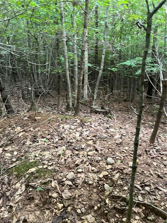 0 South Stokes School Road Walnut Cove, NC 27052 - Photo 5 of 7