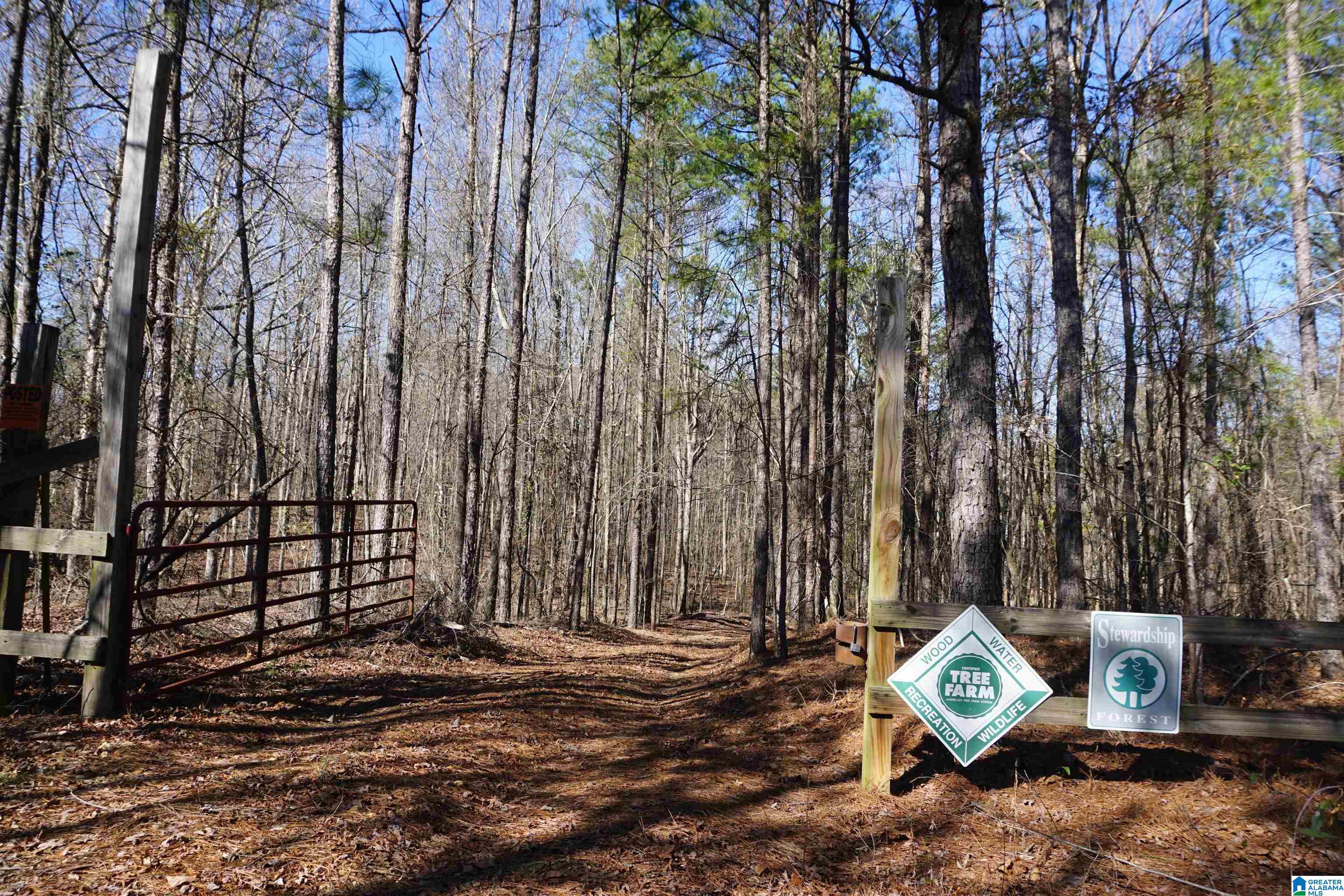 6171 Highway 102, Unit 1 Fayette, AL 35555 - Photo 45 of 68