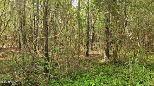 $49,900 | 17-17a Oregon Lane, Aurora, NC 27806