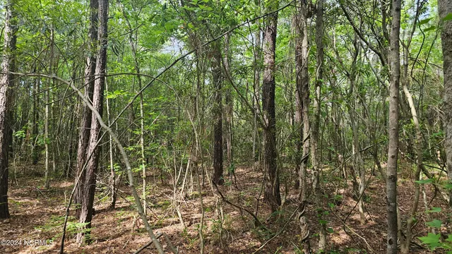 $49,900 | 17-17a Oregon Lane, Aurora, NC 27806