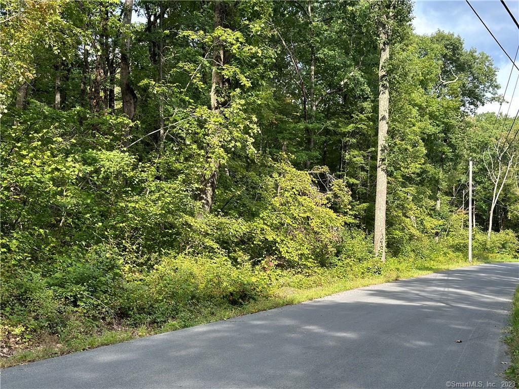 0 Above All Road Warren, CT 06754 - Photo 3 of 5 a view of a yard with a tree