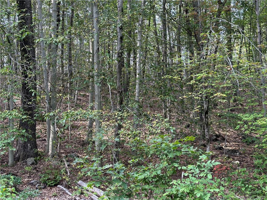 0 Above All Road Warren, CT 06754 - Photo 5 of 5 a view of a garden