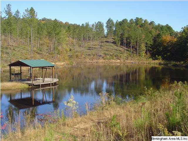 0 River Ranch Road, Unit 111 AC Ragland, AL 35131 - Photo 3 of 3