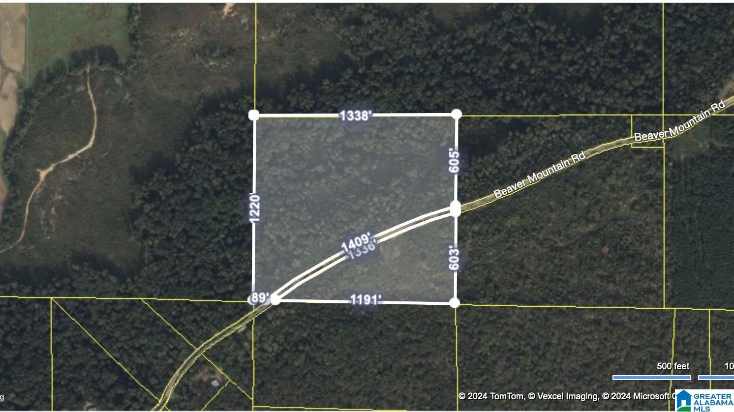 0 Beaver Mountain Road Ashville, AL 35953 - Photo 35 of 40
