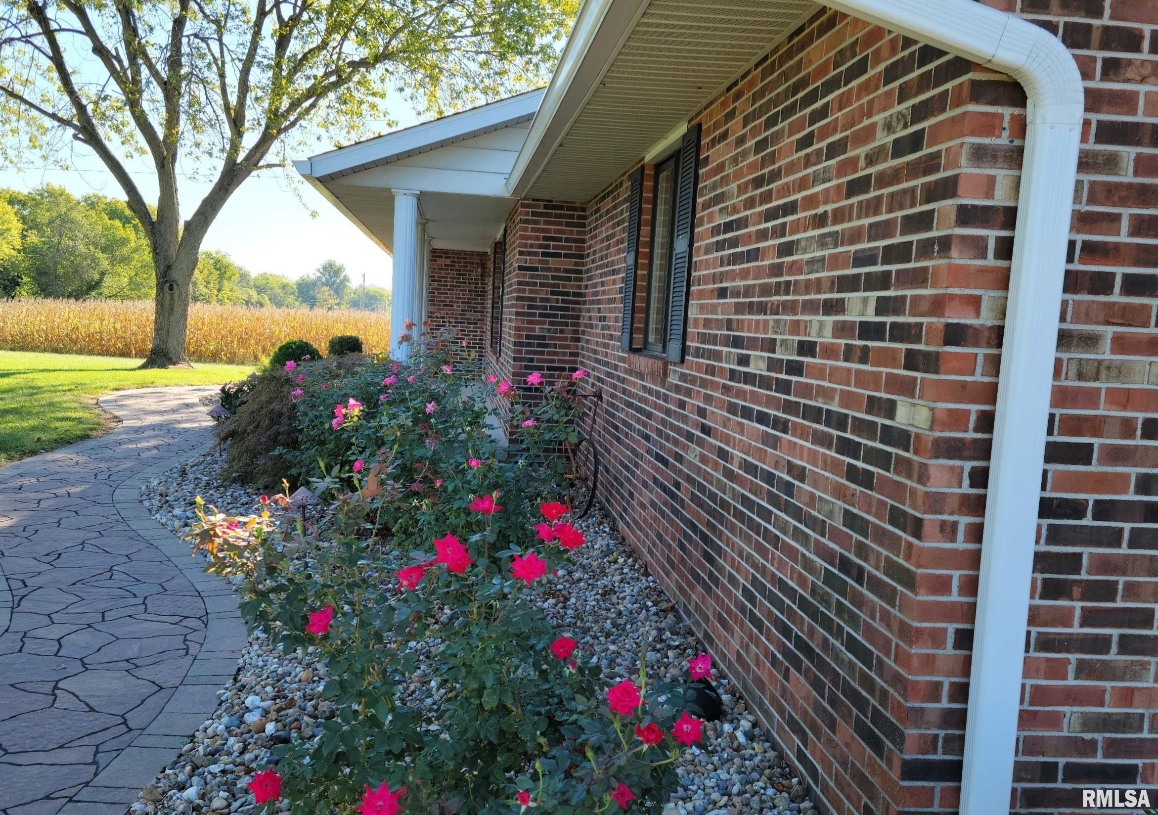 1962 Walnut Hill Road Walnut Hill, IL 62893 - Photo 3 of 32