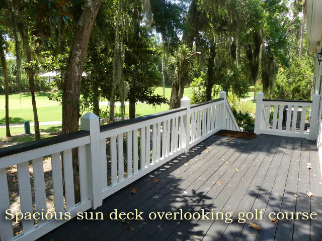 48 Rice Lane Edisto Island, SC 29438 - Photo 22 of 96 22