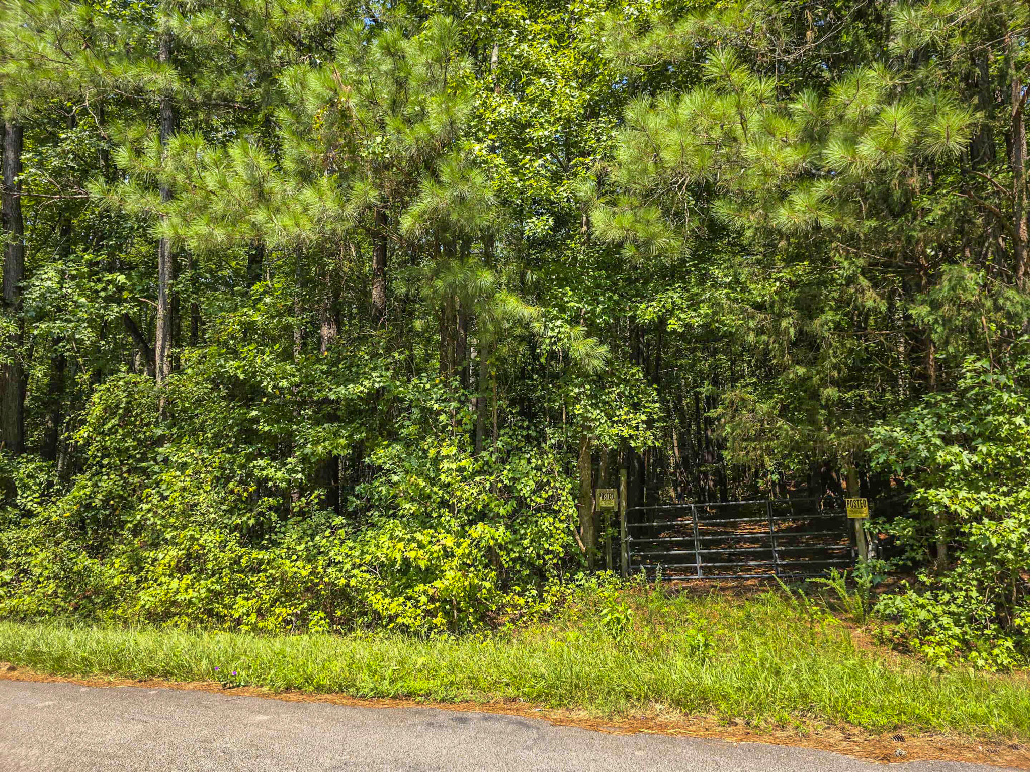 1643 Rebel Creek Road Chester, SC 29706 - Photo 15 of 16 Gate on Willis Road
